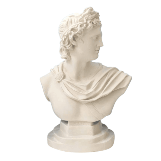 Apollo Büst - vinterro