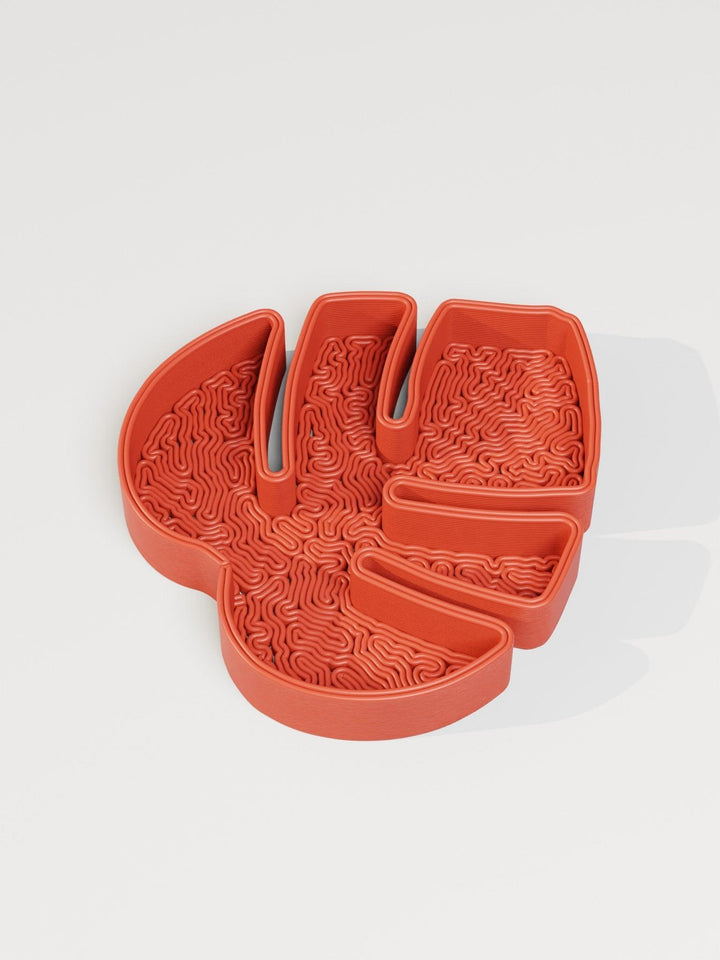 Monstera Leaf Jewelry Tray - vinterro