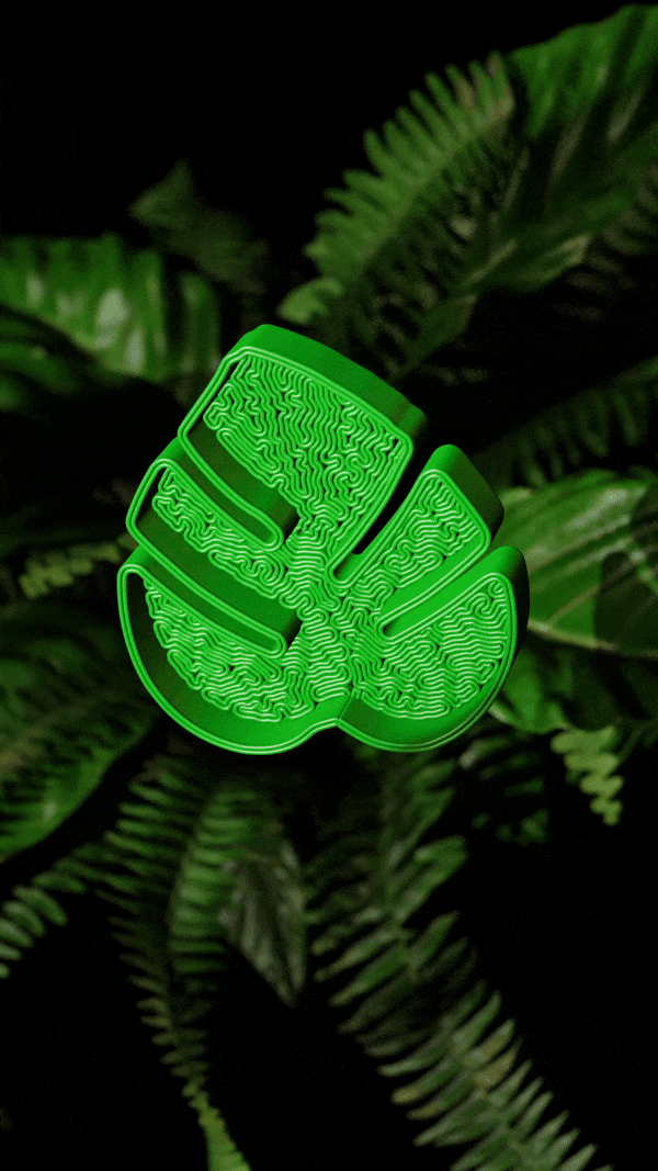 Monstera Leaf Jewelry Tray - vinterro