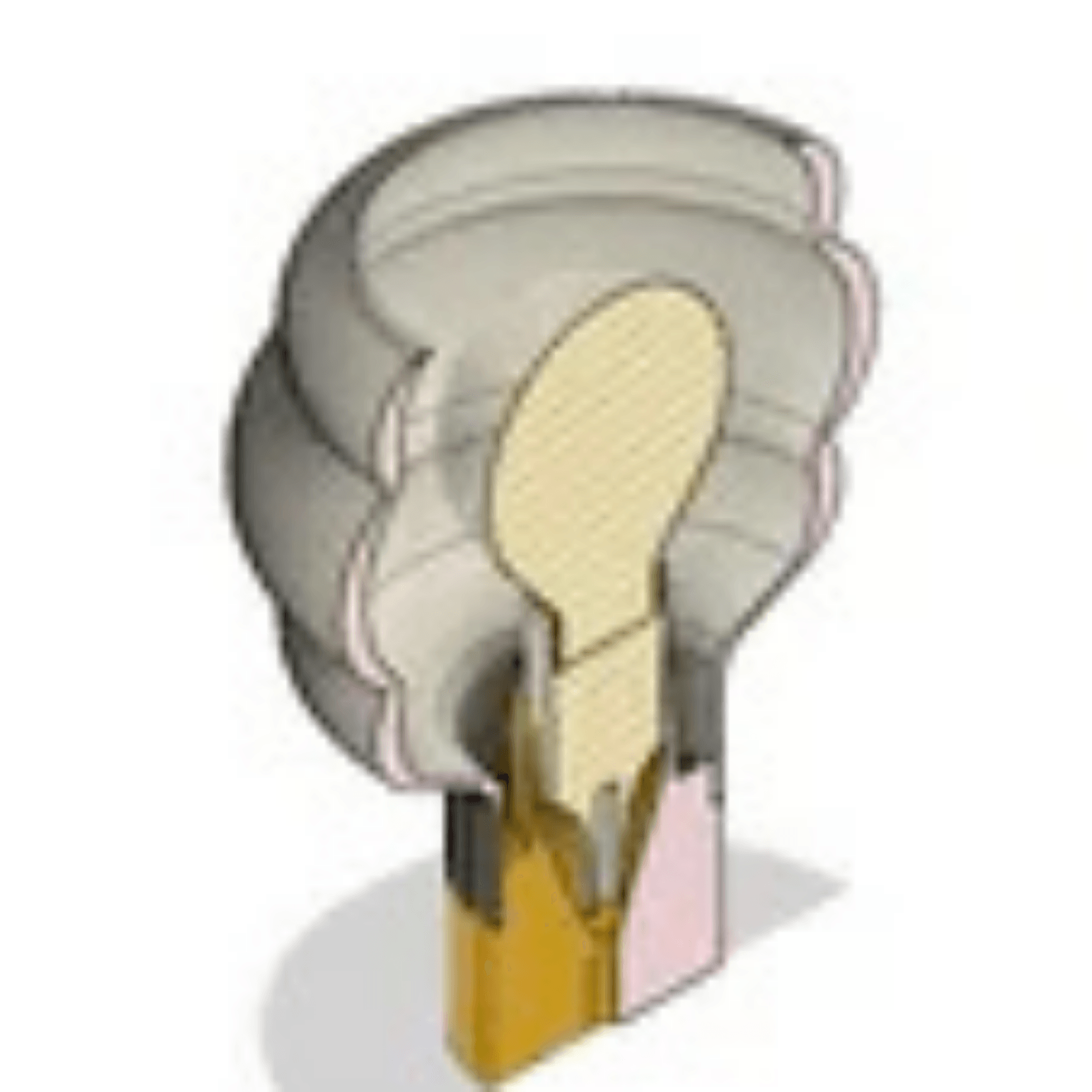 Little Cloud 3 Masa ve Sarkıt Lamba - vinterro