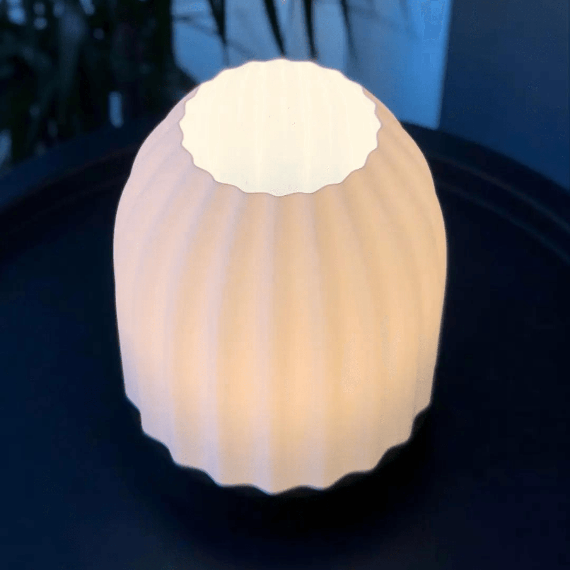 Modern Bedside/Table Lamp - Cactus - vinterro