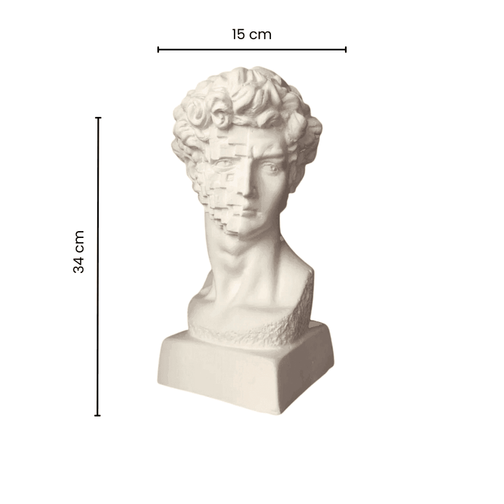 Design David Bust - Pixels Face Sculpture - vinterro