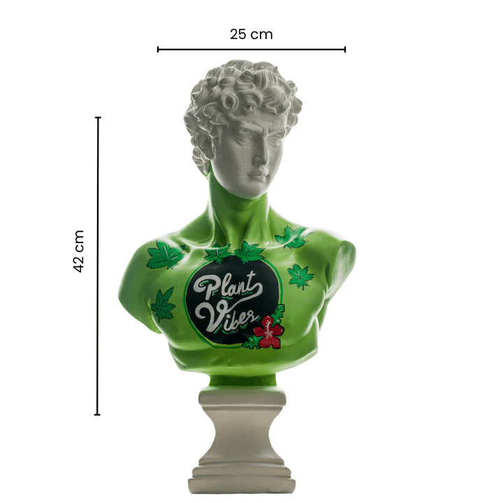 Design Plant Vibes David - vinterro