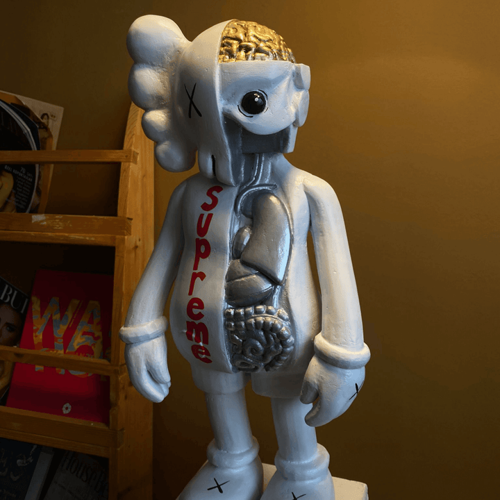 Supreme Organ Kaws - vinterro