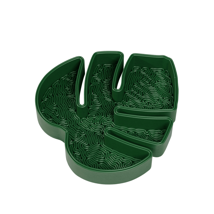 Monstera Leaf Jewelry Tray - vinterro