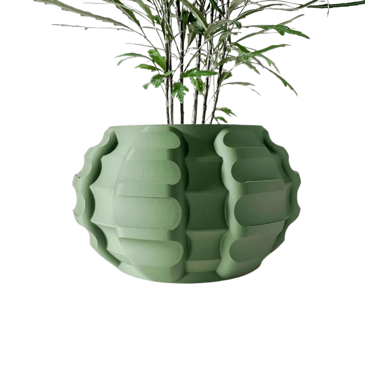 Renio Vazo - vinterro