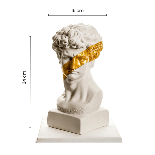 Gold David - vinterro