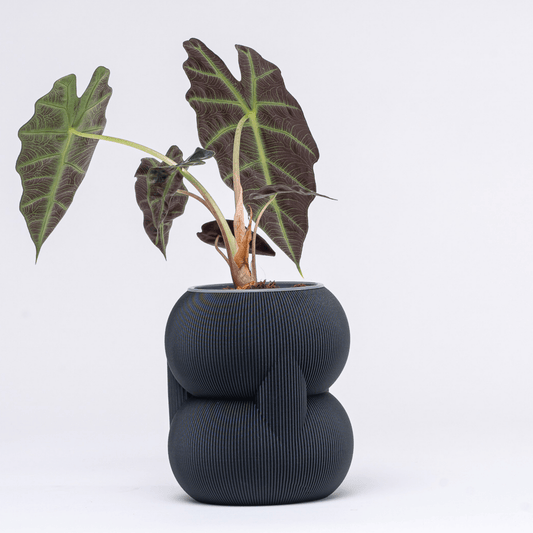 119 83 Vazo - vinterro