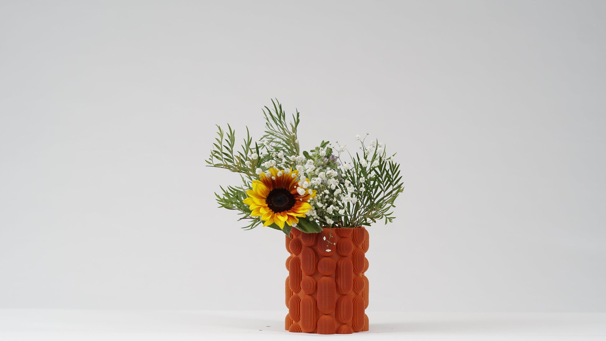 Lava Vazo - vinterro