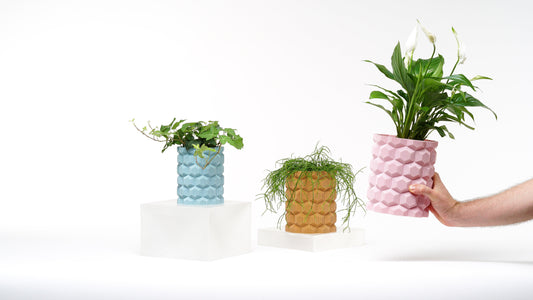 Cubee Vazo - vinterro