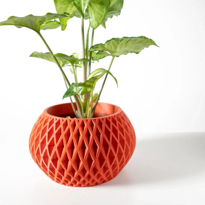 Gisar Saksı - vinterro