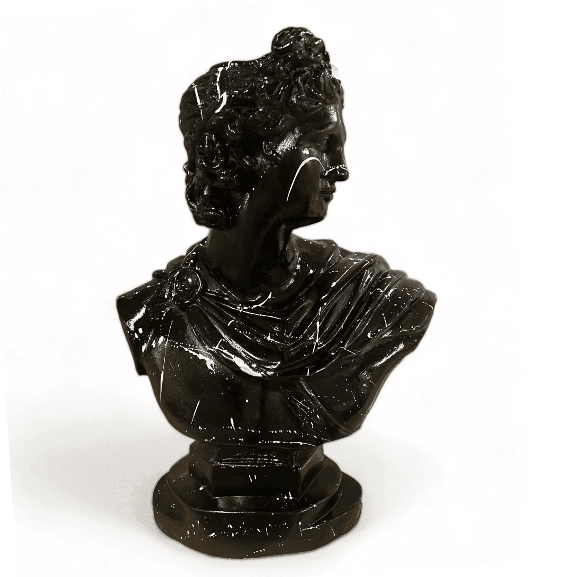 Black Bust of Apollo - vinterro