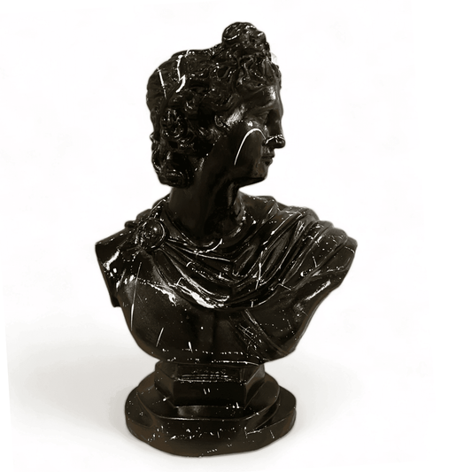Black Bust of Apollo - vinterro