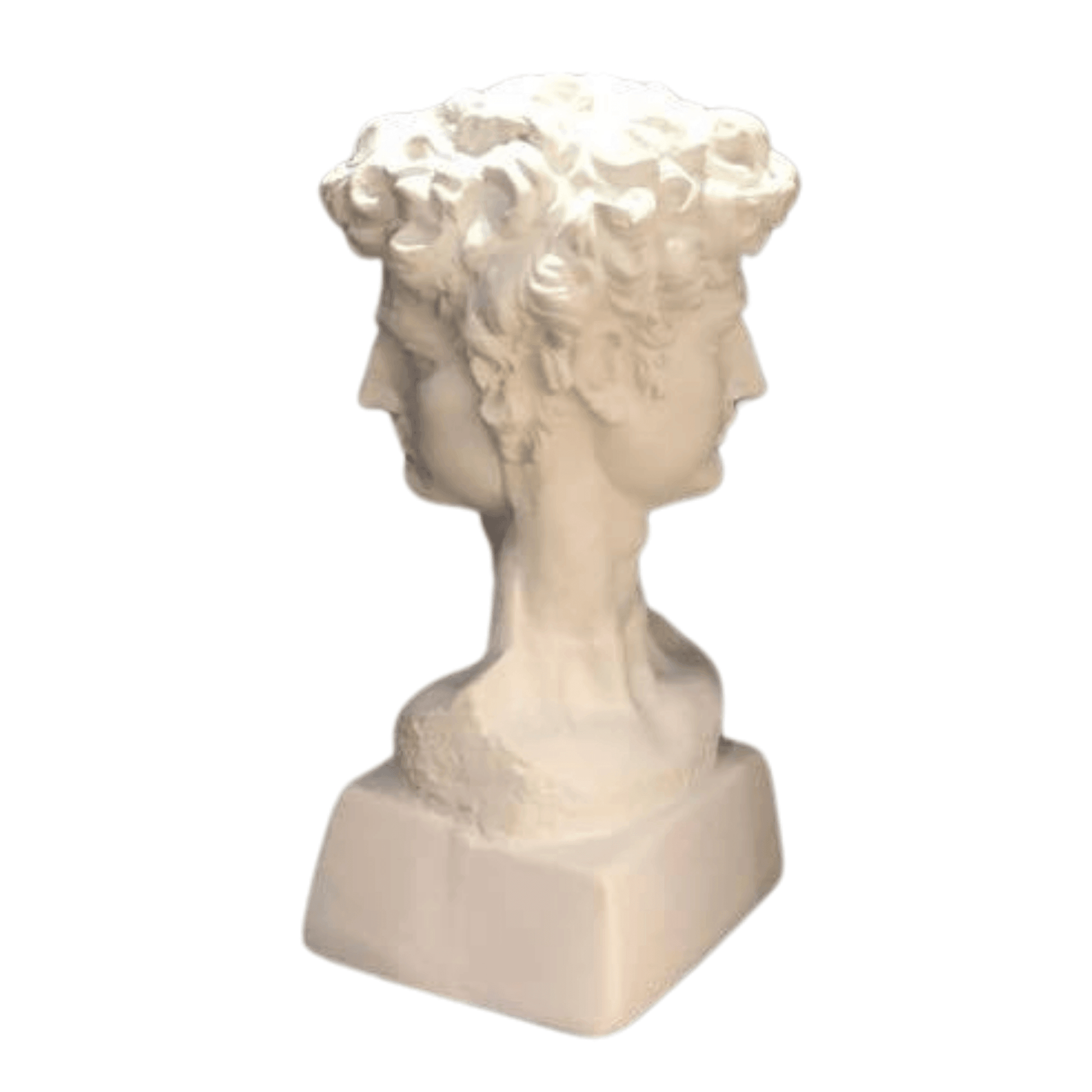 Çift Başlı Davut - vinterro