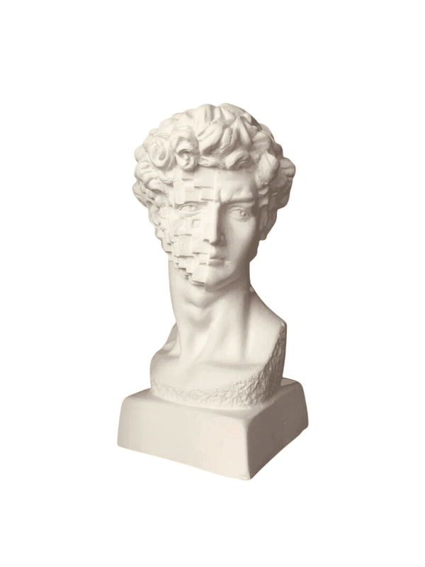 Design David Bust - Pixels Face Sculpture - vinterro