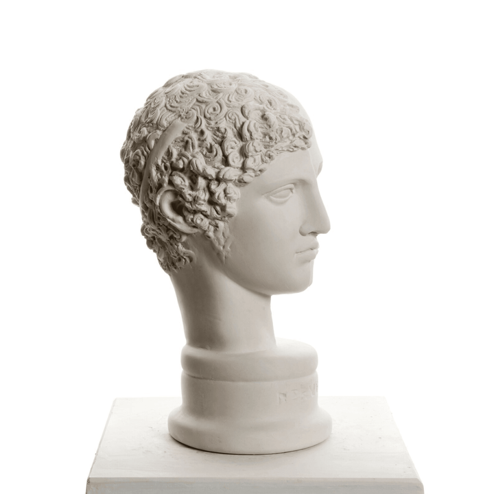 Design Hermes Skull - vinterro