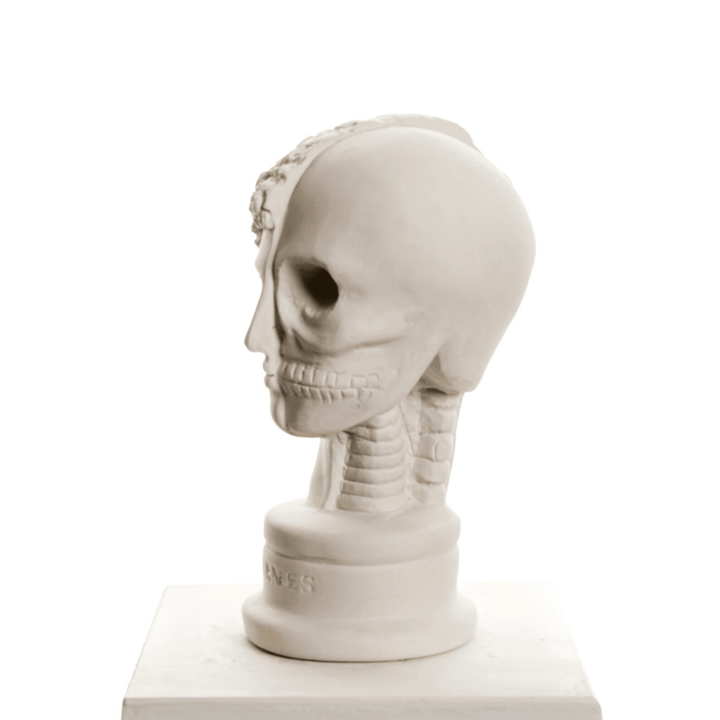 Design Hermes Skull - vinterro
