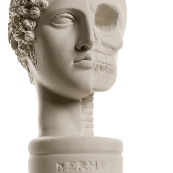 Design Hermes Skull - vinterro