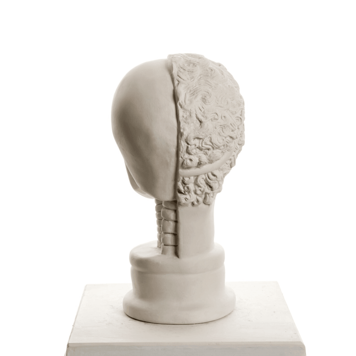 Design Hermes Skull - vinterro