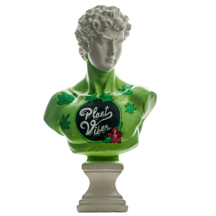 Design Plant Vibes David - vinterro