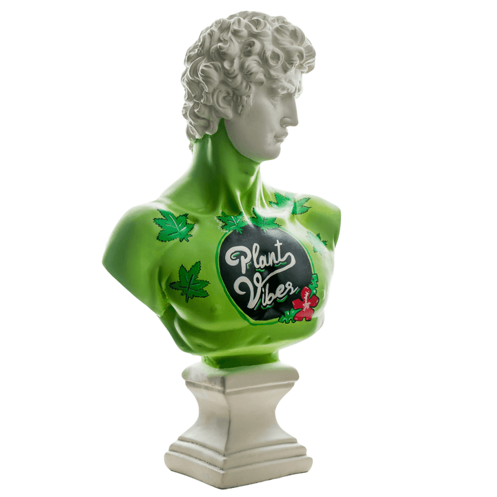 Design Plant Vibes David - vinterro