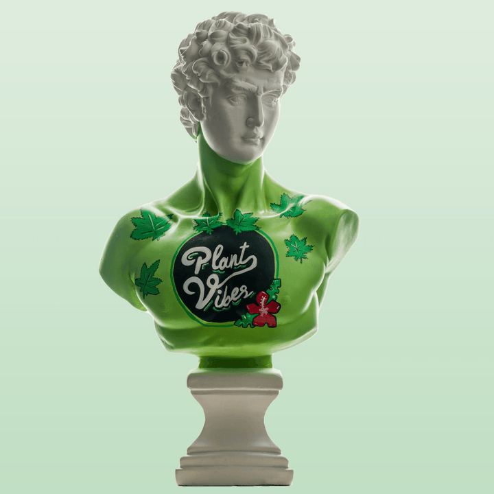 Design Plant Vibes David - vinterro