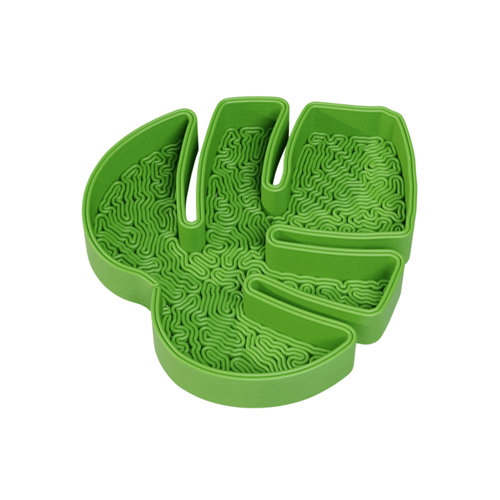 Monstera Leaf Jewelry Tray - vinterro