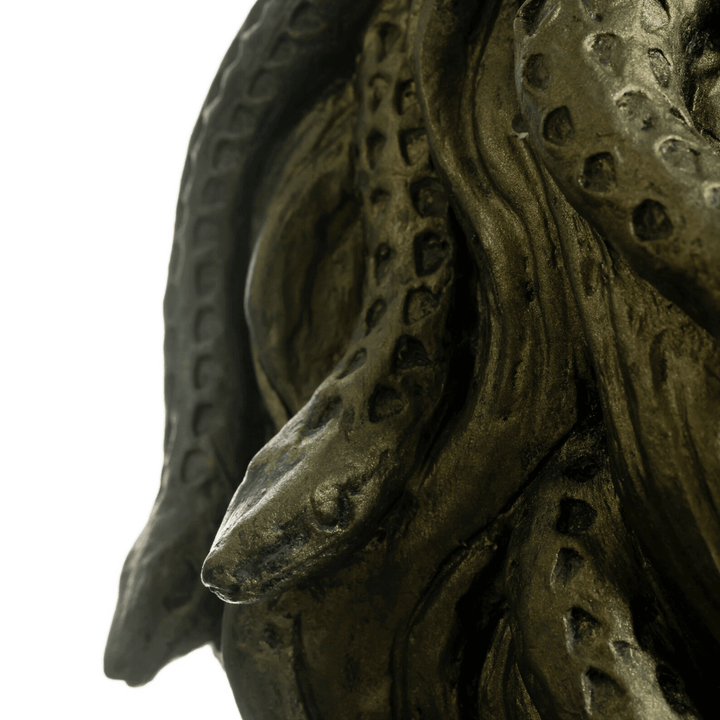 Medusa Büst - vinterro