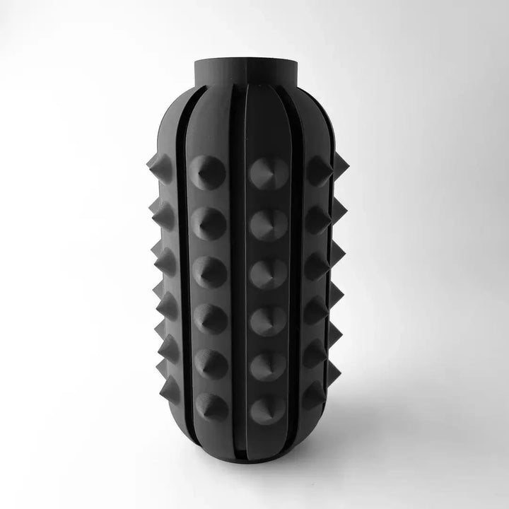 Nori Vazo - vinterro