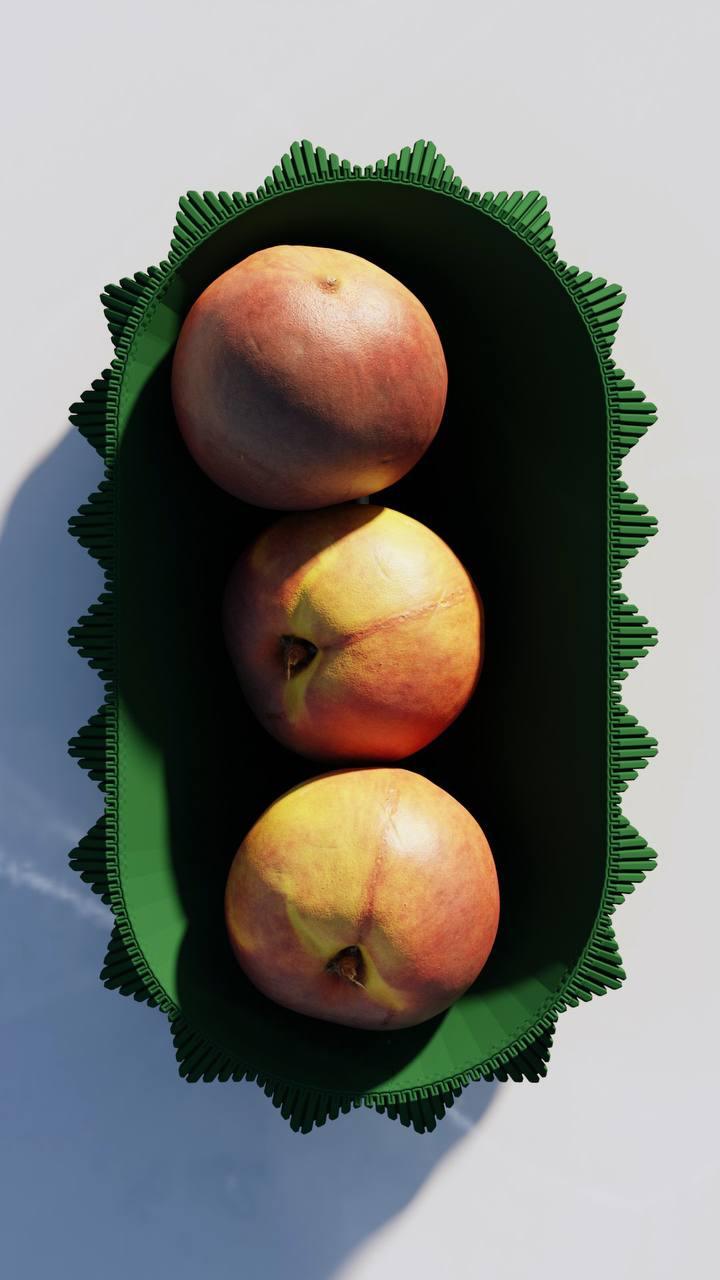 PORCUPINE PLATE - vinterro