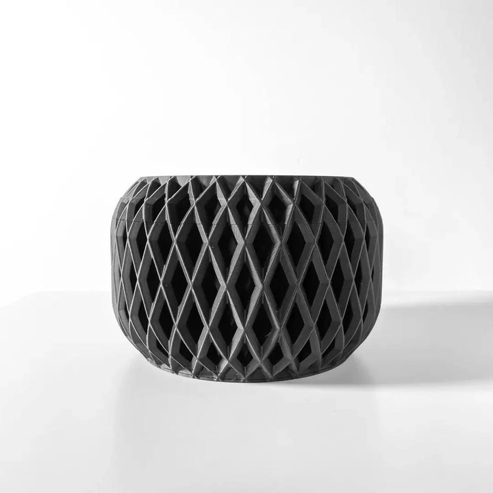 Palis Vazo - vinterro